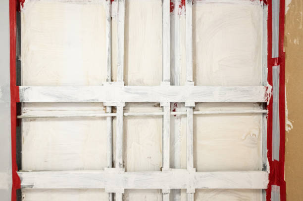 Best Biohazard Mold Removal  in Ravenna, NE