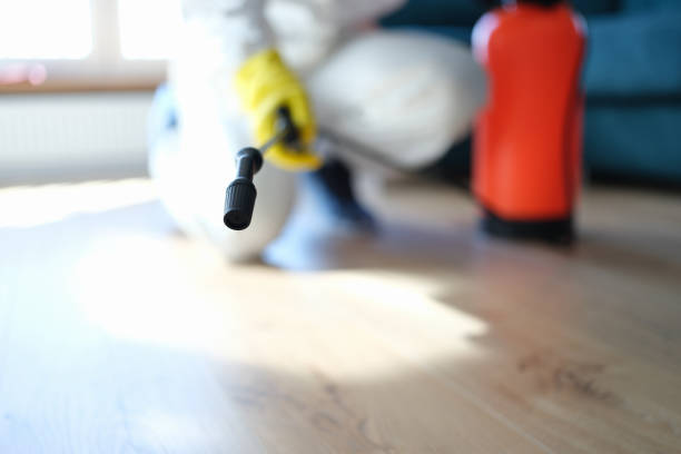 Best Crawl Space Mold Remediation  in Ravenna, NE