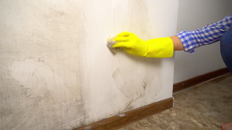 Best Environmental Consulting for Mold Prevention  in Ravenna, NE
